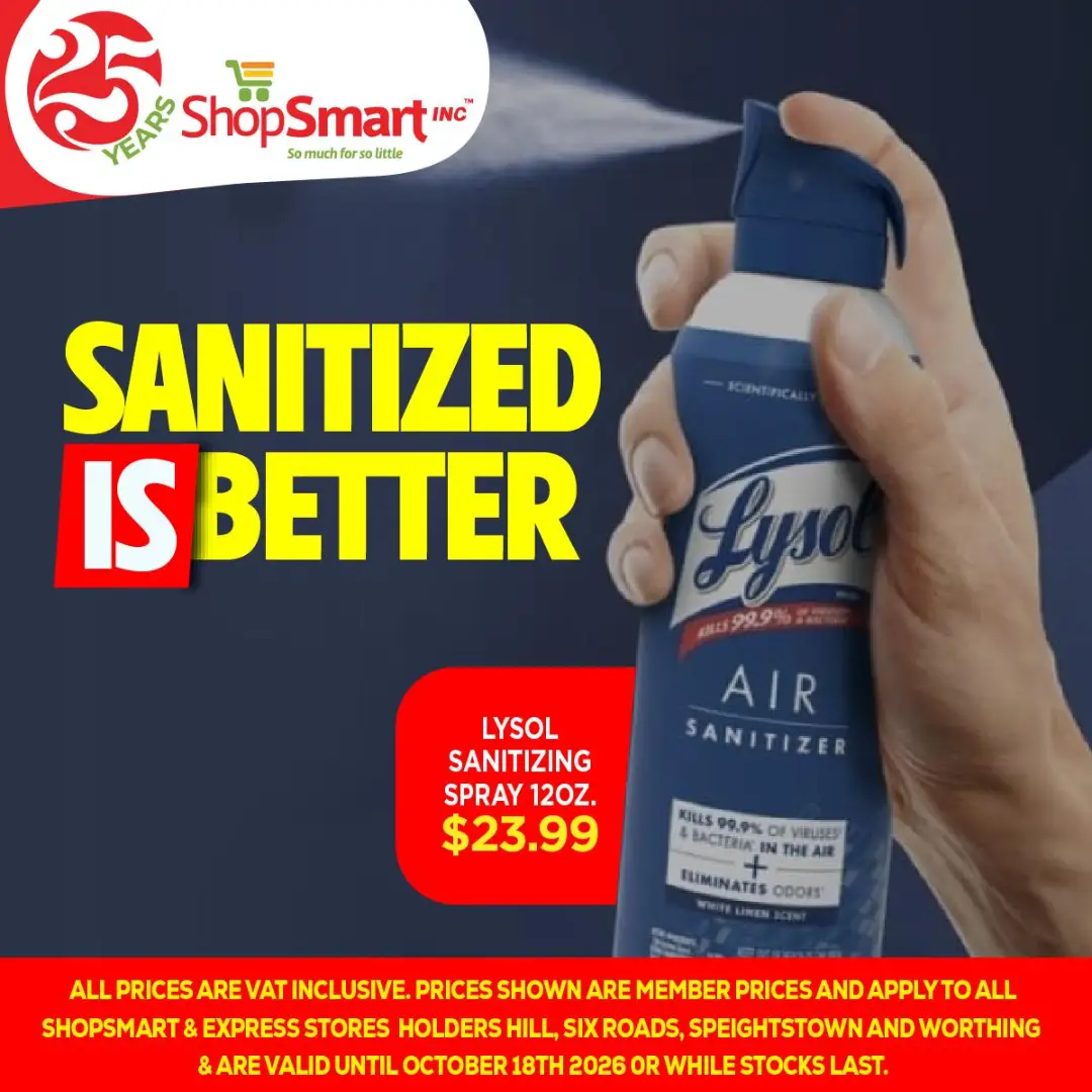 Lysol Sanitizing Air Spray 12oz - $23.99 at ShopSmart