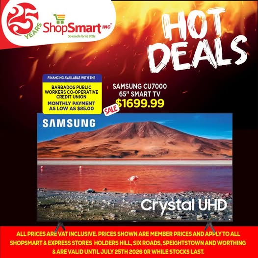 Shopsmart Inc