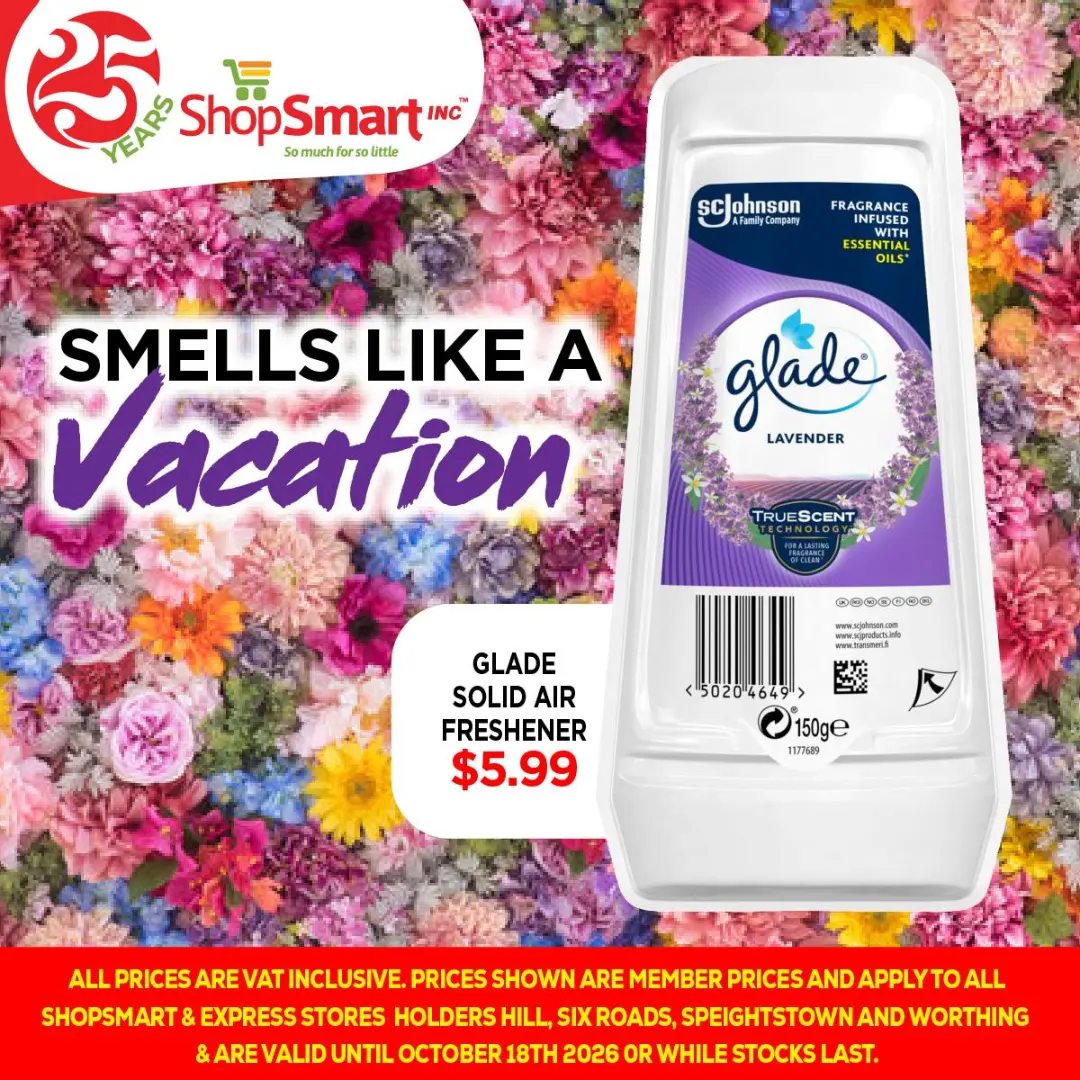 Glade Solid Air Freshener (Lavender 150g) for $5.99 at ShopSmart