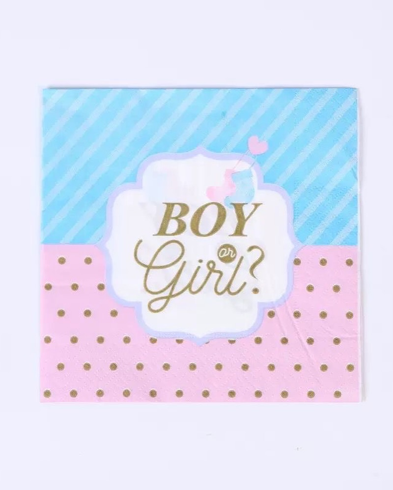 Gender Reveal Partyware Bundle – 64 Pieces for $35