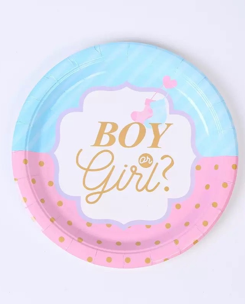 Gender Reveal Partyware Bundle – 64 Pieces for $35