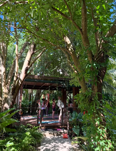 Santosha Yoga 4-Year Anniversary – $20 Classes at Nature Care Garden Centre
