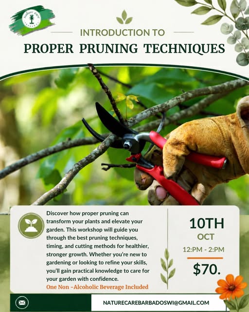 Introduction to Proper Pruning Techniques Workshop - $70