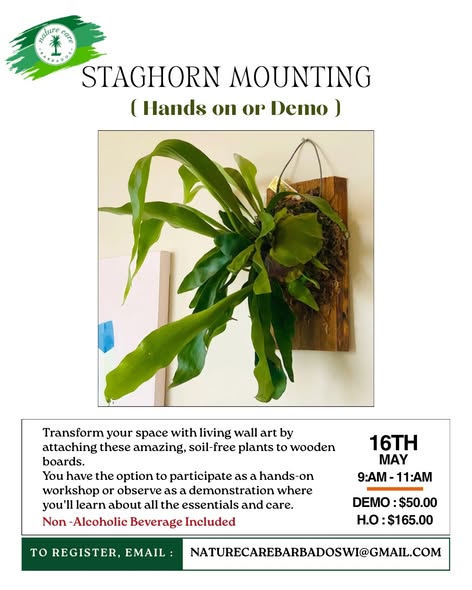 Nature Care Monthly Saturday Plant Workshops – Hands-On Sessions with Discount Card