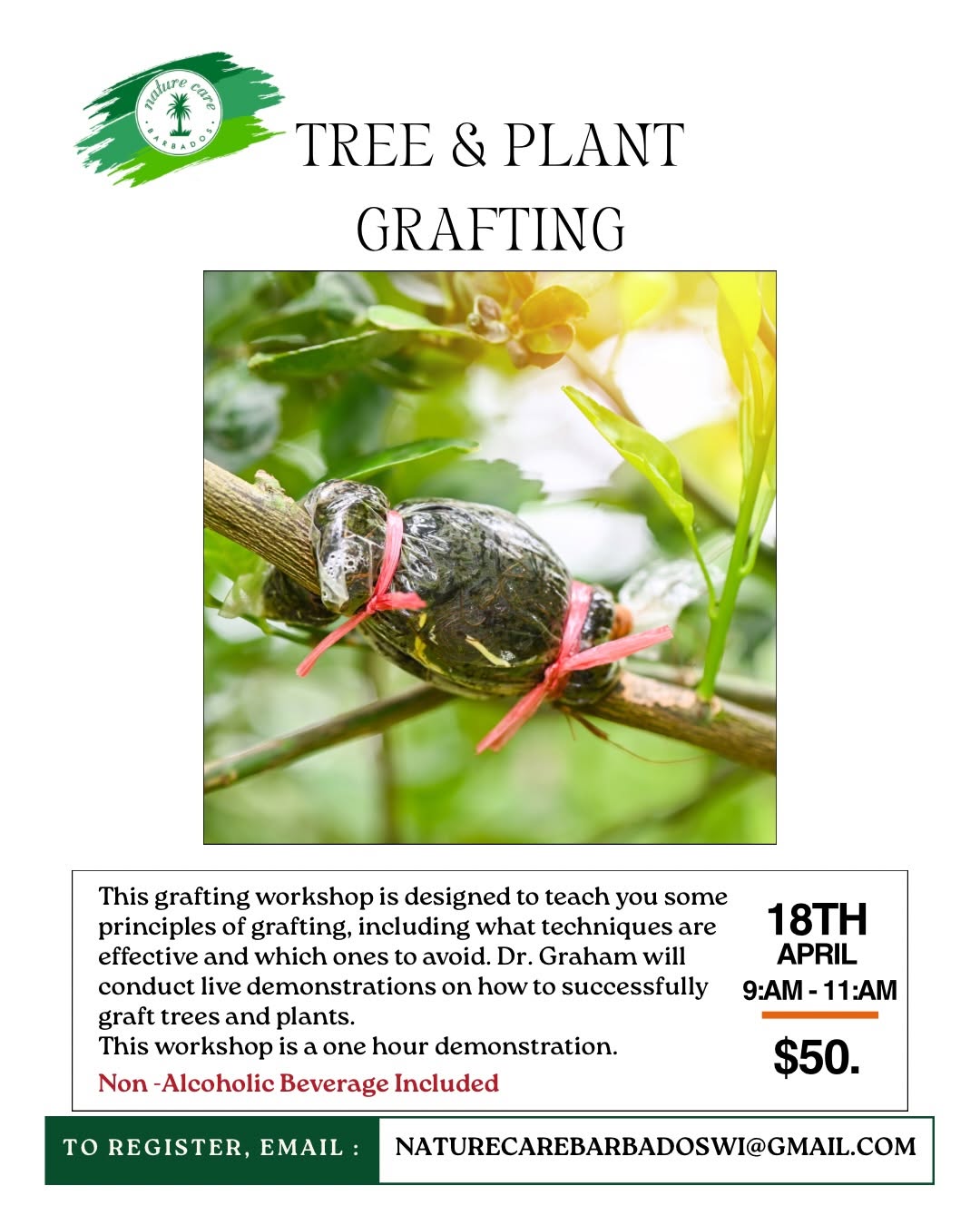 Nature Care Monthly Saturday Workshops – Paint & Sip, Tree Grafting & Herbal Workshop