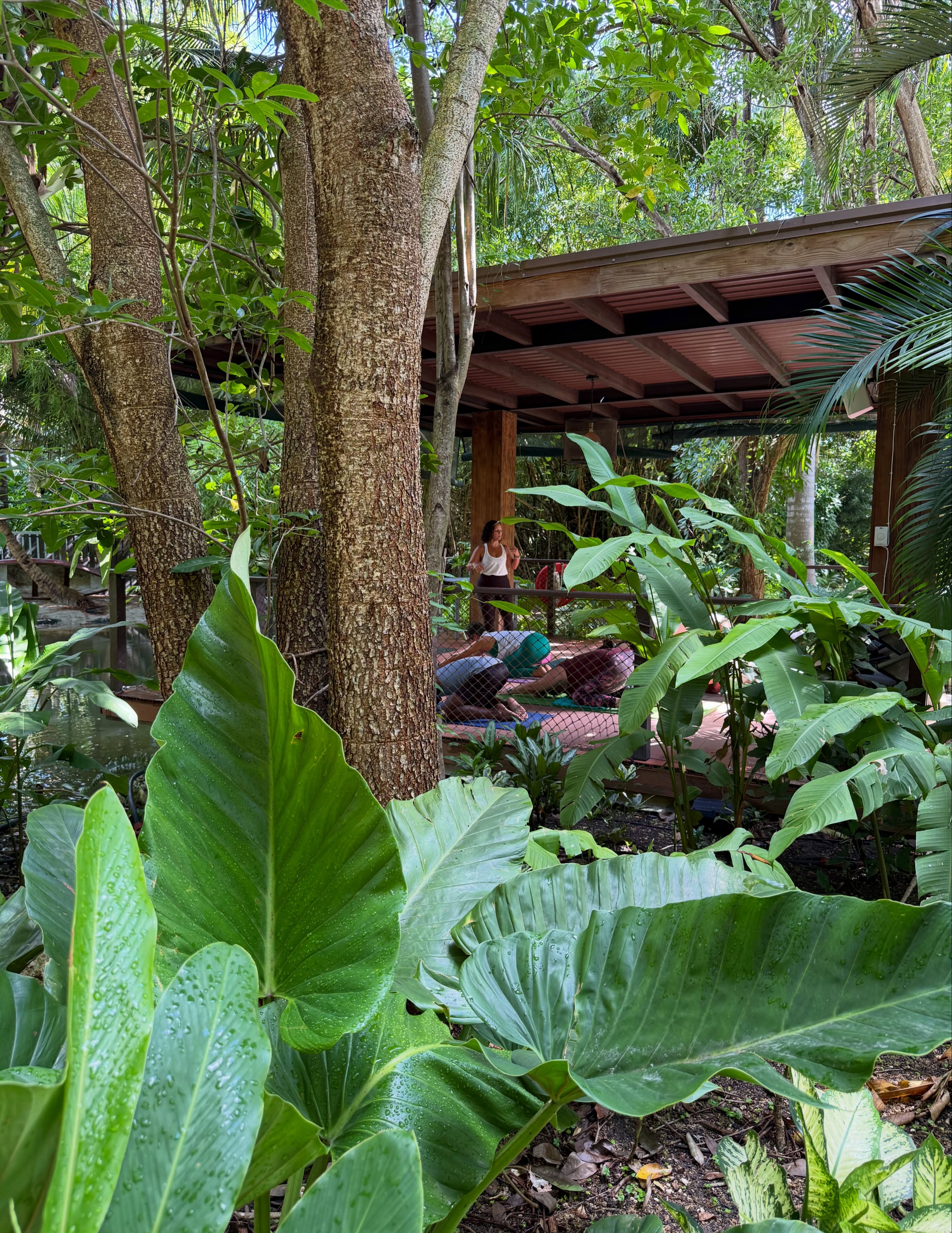 Santosha Yoga 4-Year Anniversary Week – $20 Per Class