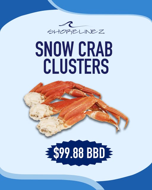 Shorelinez & Stuffers