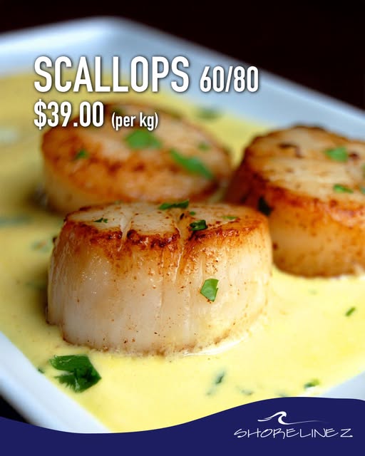 Premium 60/80 Scallops – $39.00 per kg at Shorelinez