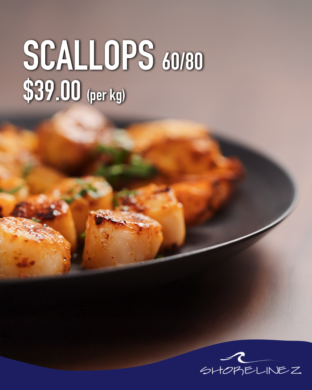Scallops 60/80 – $39.00 per kg + Free Delivery on Orders Over $100