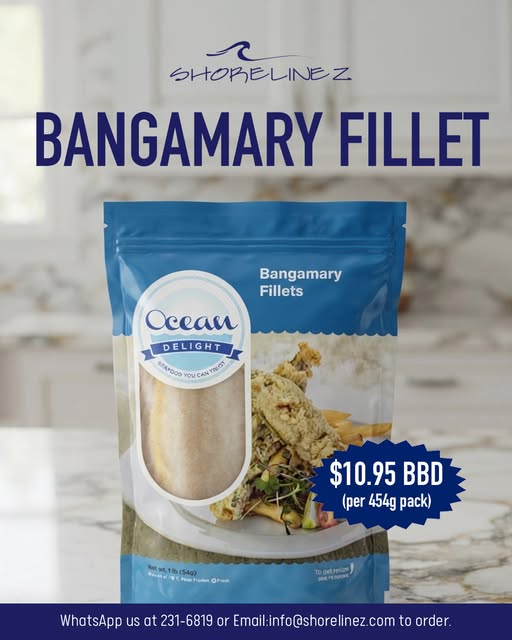 Ocean Delight Bangamary Fillets – $10.95 BBD per 454g Pack