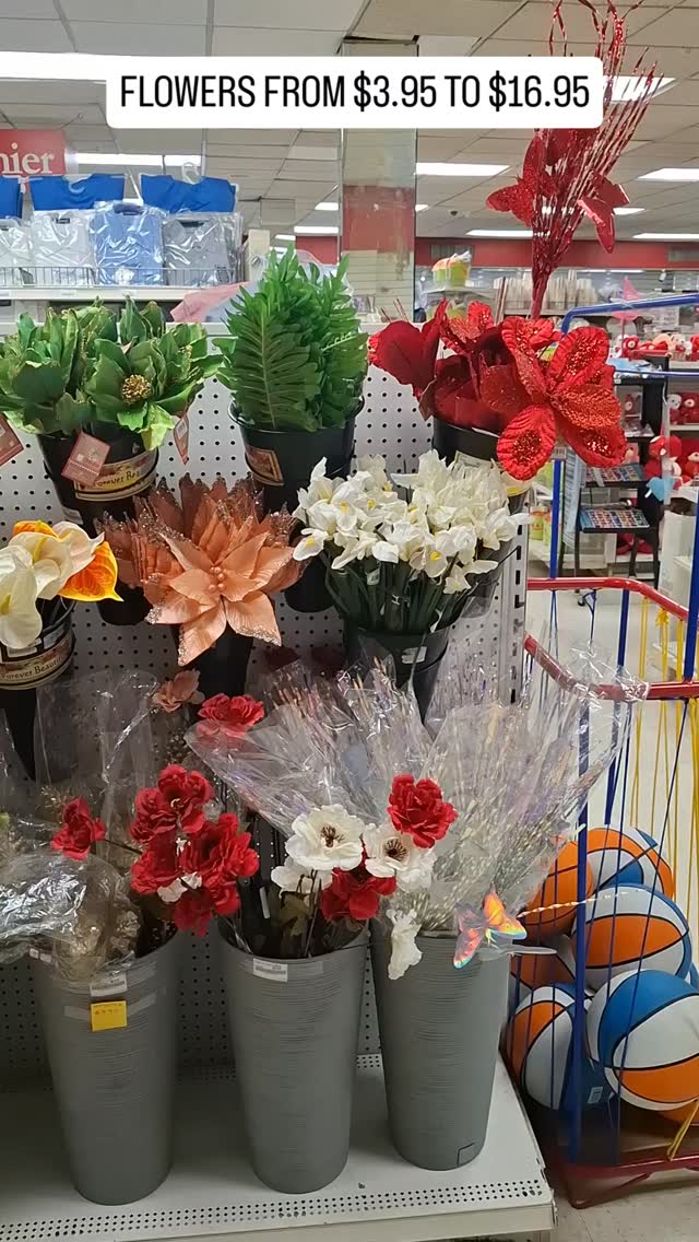 Artificial Flowers & Plants from $3.95 to $16.95 at Woolworth Barbados