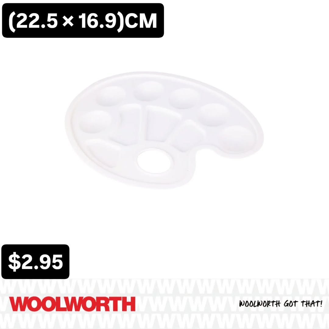 Plastic Painter's Palette – $2.95 at Woolworth Barbados