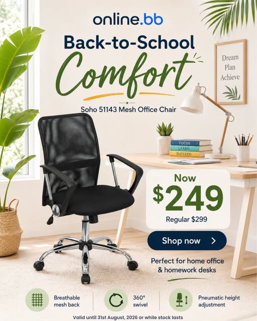 Back-to-School Sale: Soho Mesh Office Chair Now $249 (Save $50)