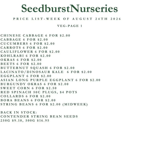Seedburst Nurseries Weekly Stock List – Herbs, Veg, Soilless Mix & More
