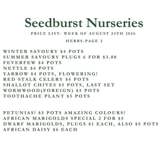 Seedburst Nurseries Weekly Stock List – Herbs, Veg, Soilless Mix & More
