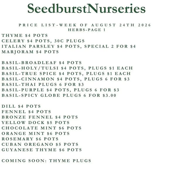 Seedburst Nurseries