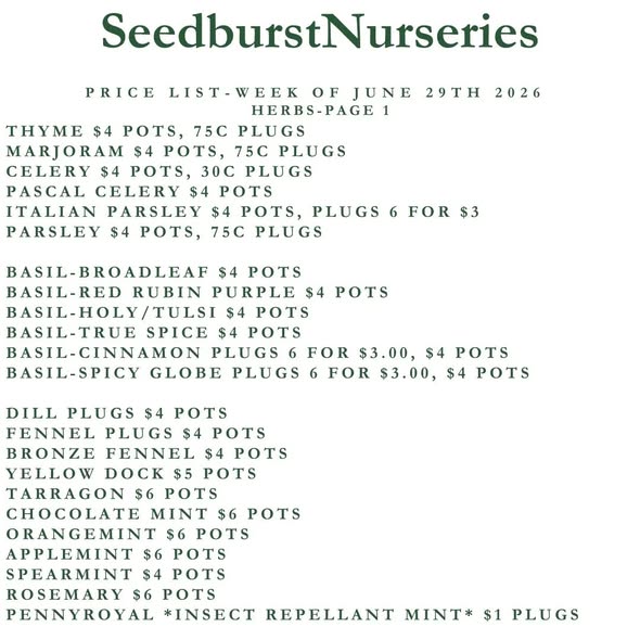 Seedburst Nurseries Weekly Price List – Marigold Special, Herbs, Veg & Potting Supplies