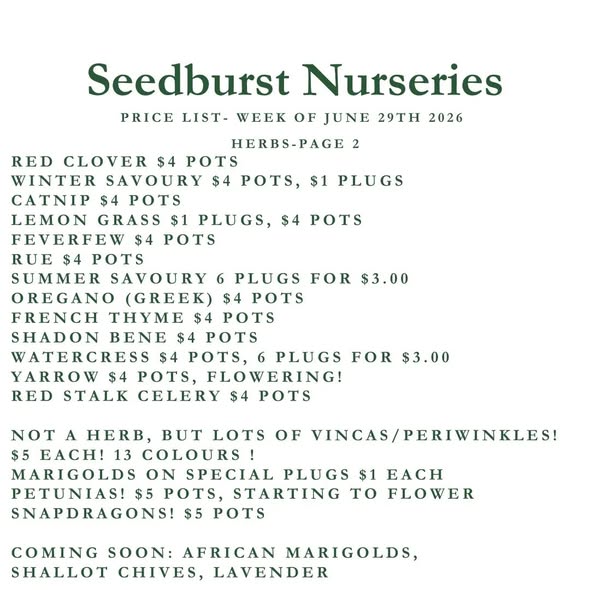 Seedburst Nurseries Weekly Price List – Marigold Special, Herbs, Veg & Potting Supplies
