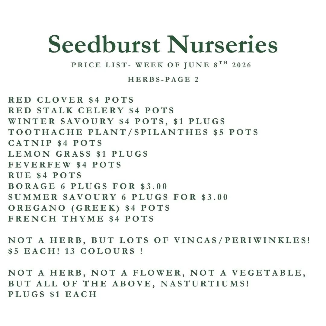 Seedburst Nurseries Weekly Stock List – Herbs, Vegetables, Pots & Manure