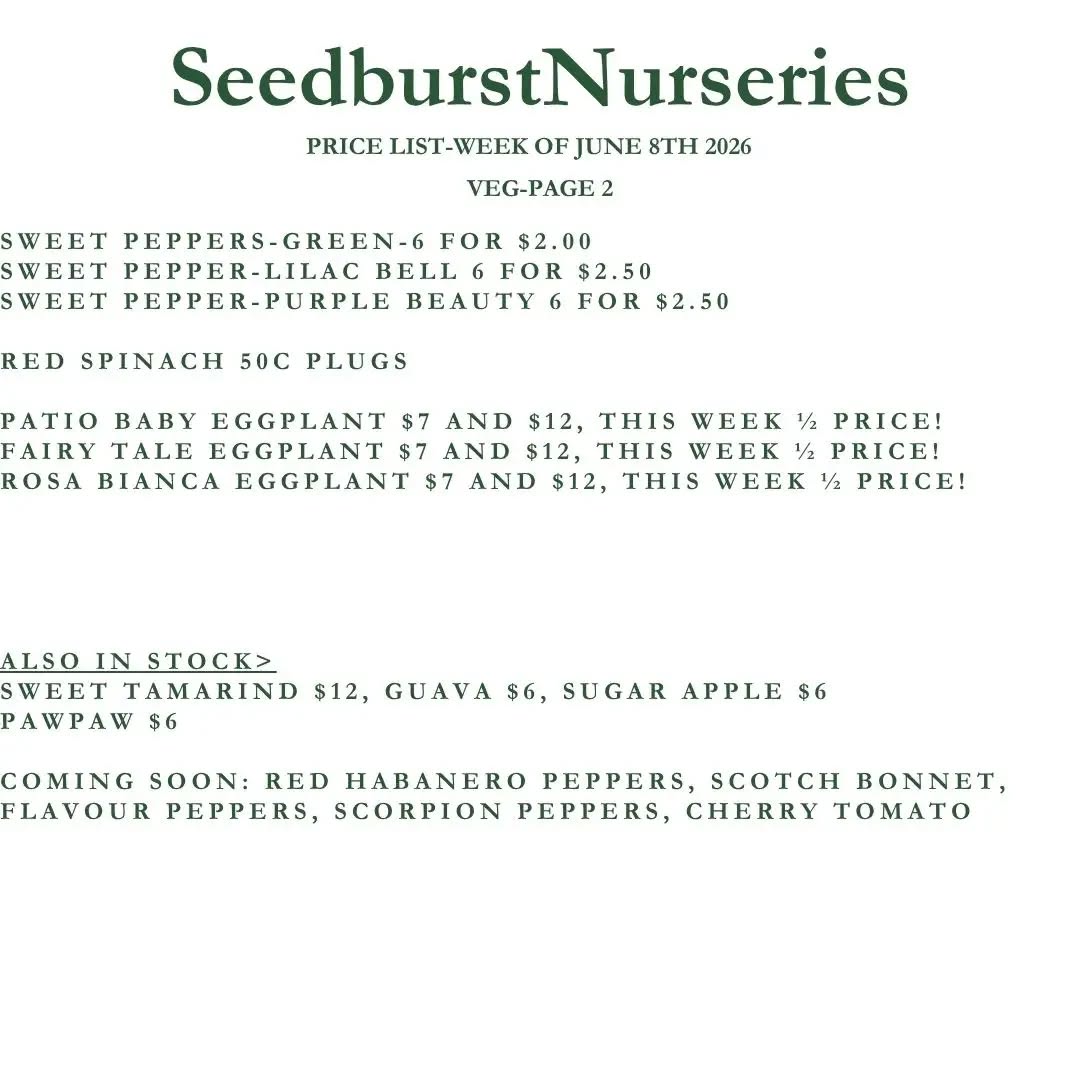 Seedburst Nurseries Weekly Stock List – Herbs, Vegetables, Pots & Manure