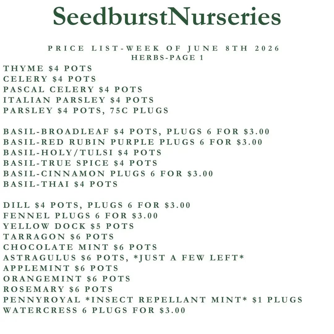 Seedburst Nurseries Weekly Stock List – Herbs, Vegetables, Pots & Manure