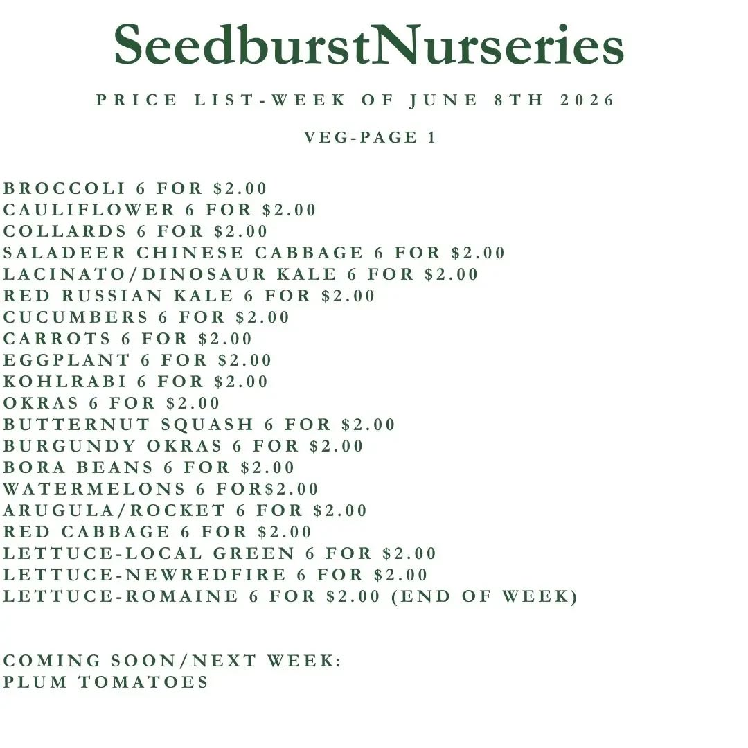 Seedburst Nurseries Weekly Stock List – Herbs, Vegetables, Pots & Manure