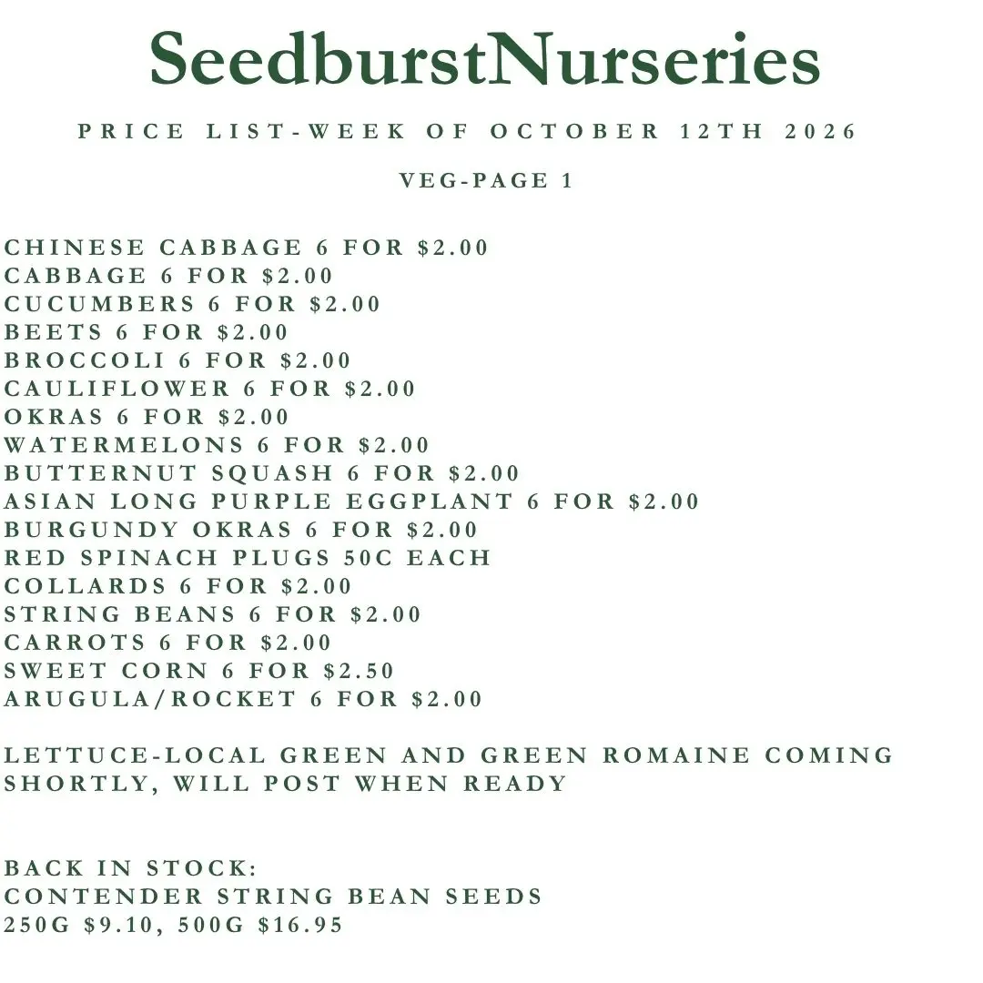 Seedburst Nurseries Weekly Price List: Herbs & Veg Seedlings from 6 for $2