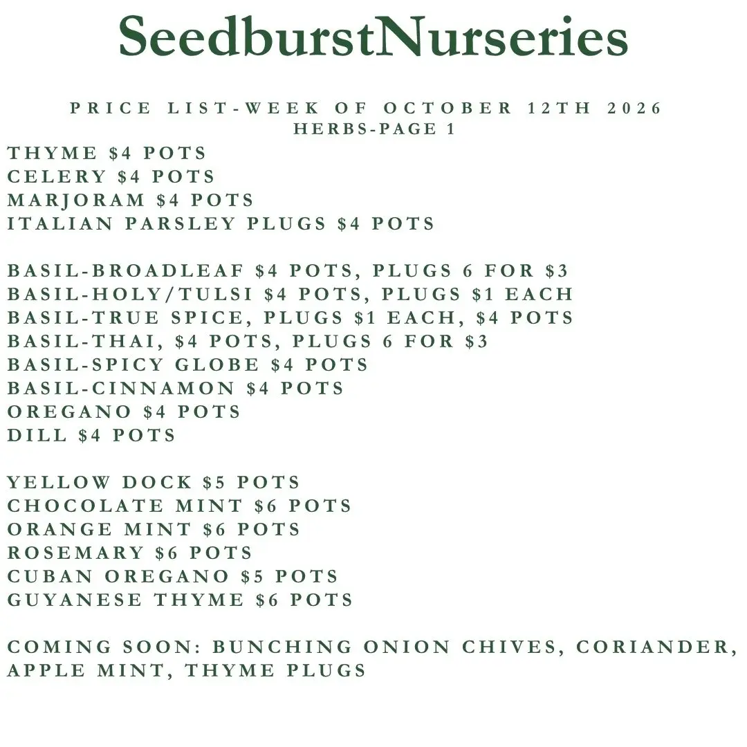 Seedburst Nurseries Weekly Price List: Herbs & Veg Seedlings from 6 for $2
