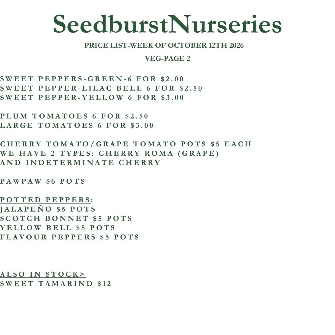 Seedburst Nurseries Weekly Price List: Herbs & Veg Seedlings from 6 for $2
