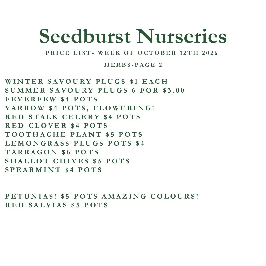 Seedburst Nurseries Weekly Price List: Herbs & Veg Seedlings from 6 for $2
