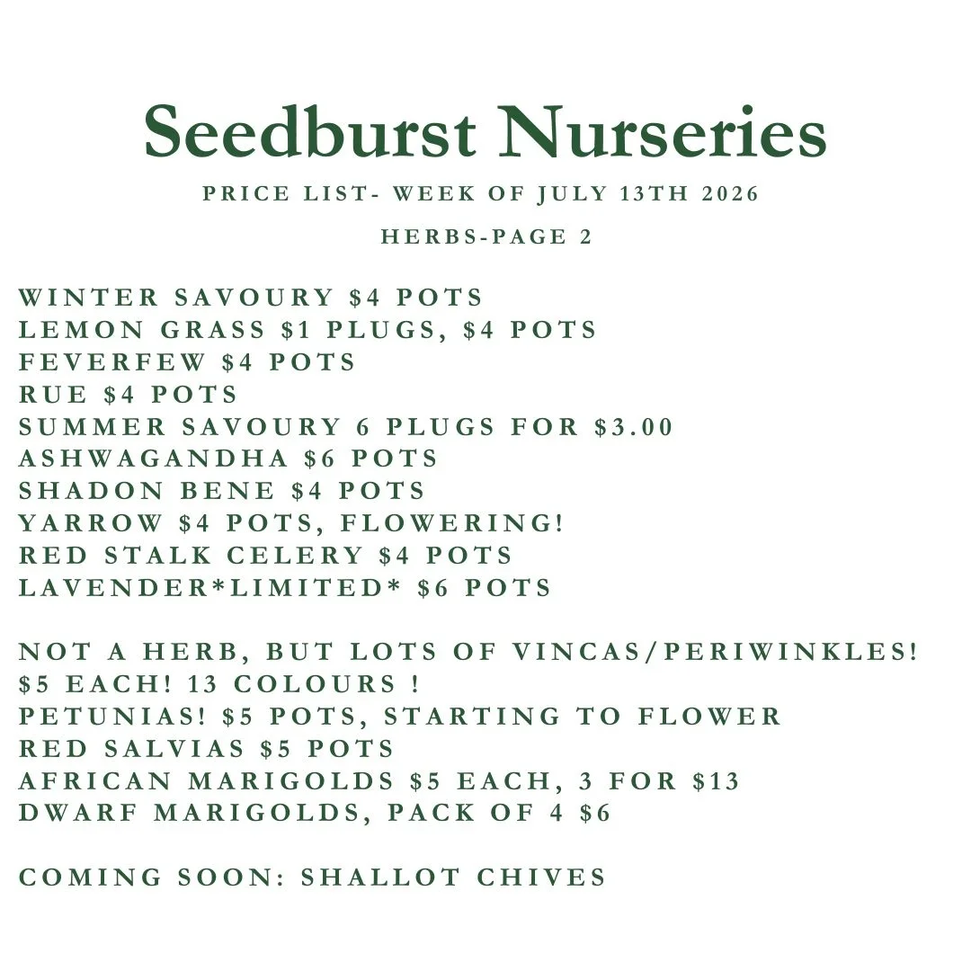 Seedburst Nurseries Weekly Stock List – Herbs, Veg, Flowers & Garden Supplies