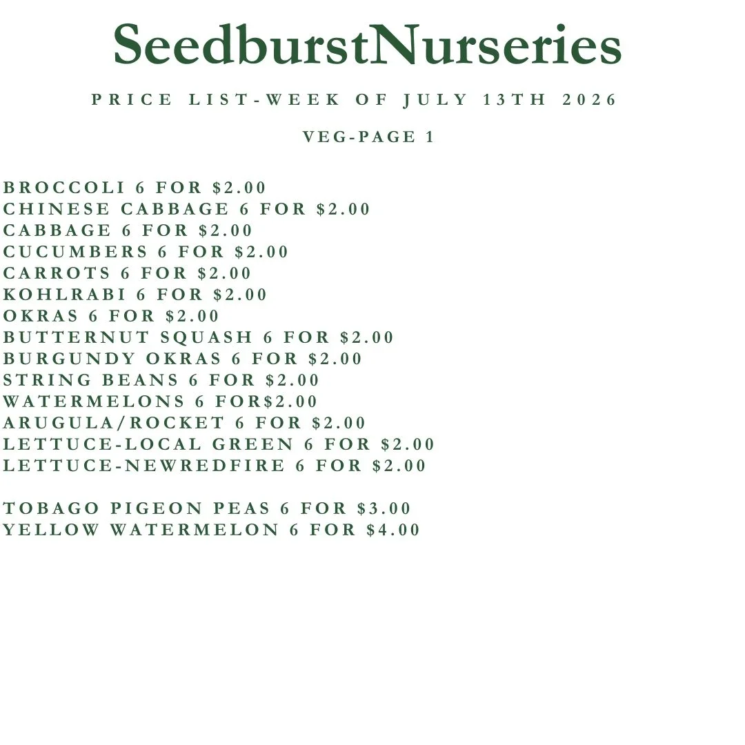 Seedburst Nurseries Weekly Stock List – Herbs, Veg, Flowers & Garden Supplies