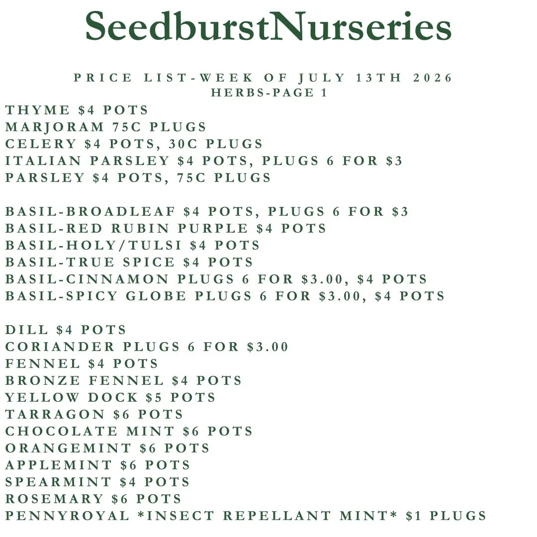 Seedburst Nurseries Weekly Stock List – Herbs, Veg, Flowers & Garden Supplies