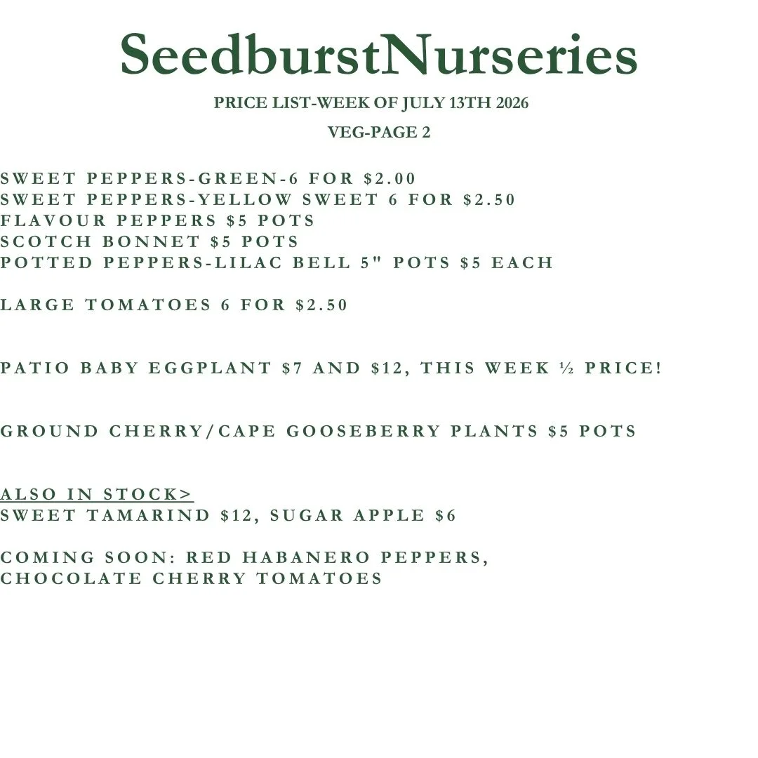 Seedburst Nurseries Weekly Stock List – Herbs, Veg, Flowers & Garden Supplies