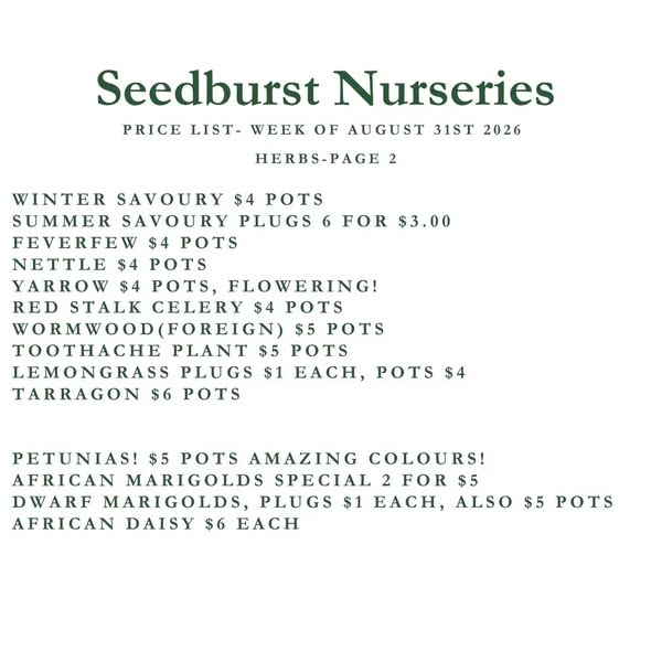 Seedburst Nurseries Weekly Stock List – Herbs, Veg Seedlings, Pots & Garden Supplies