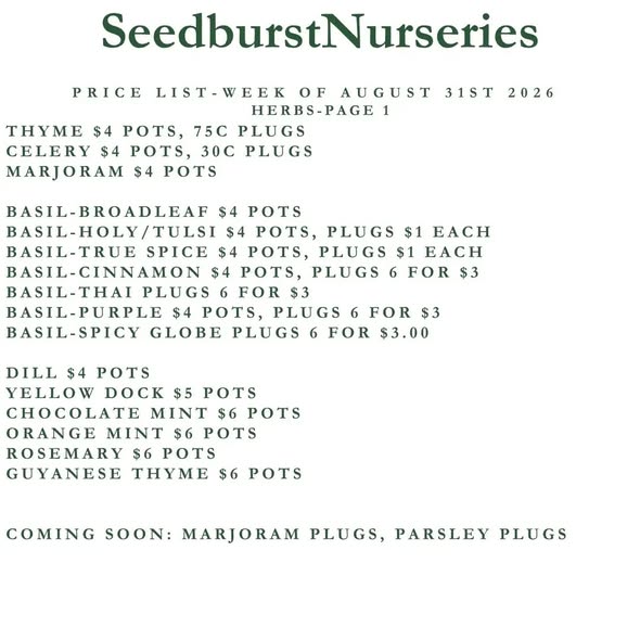 Seedburst Nurseries