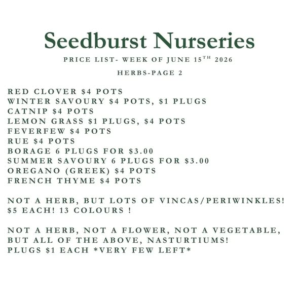 Seedburst Nurseries Weekly Price List – Herbs, Veggie Seedlings & Garden Supplies