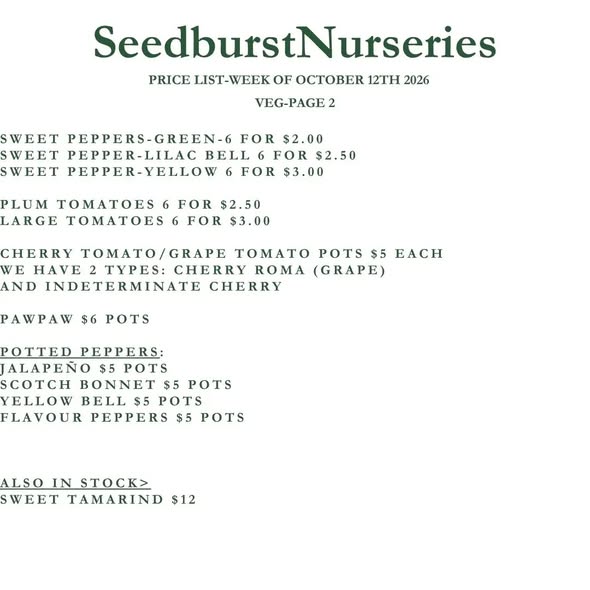 Seedburst Nurseries Weekly Price List – Herbs & Veg Seedlings from $1