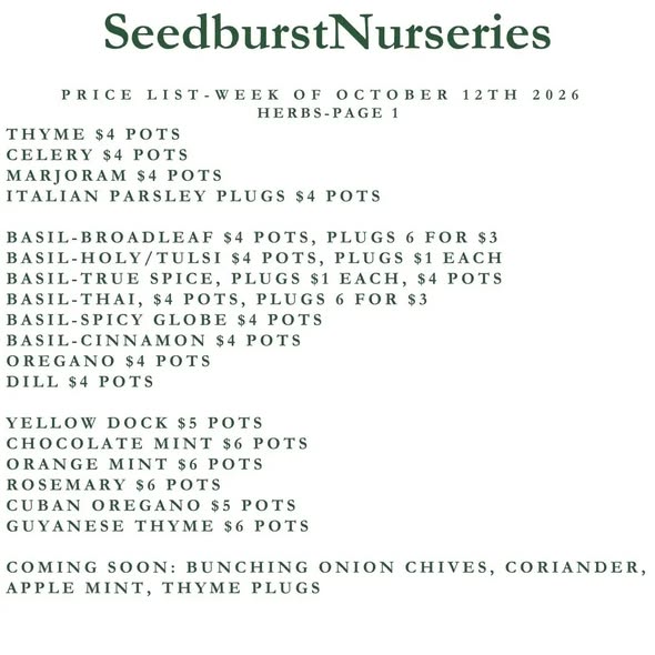 Seedburst Nurseries Weekly Price List – Herbs & Veg Seedlings from $1