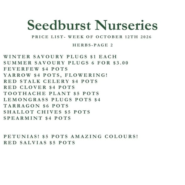 Seedburst Nurseries Weekly Price List – Herbs & Veg Seedlings from $1