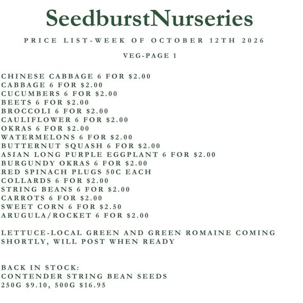 Seedburst Nurseries Weekly Price List – Herbs & Veg Seedlings from $1