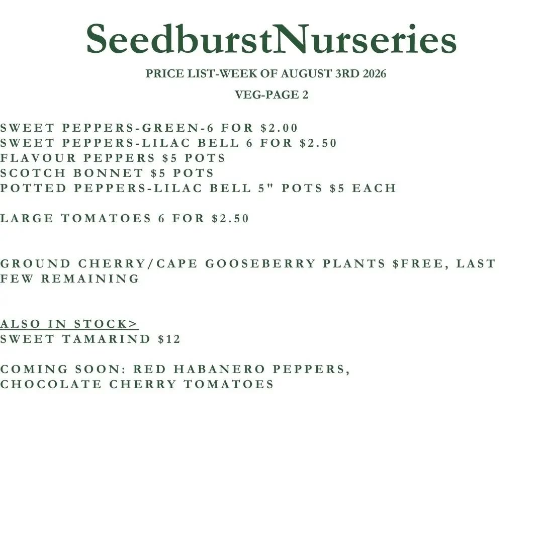 Seedburst Nurseries Weekly Price List & Specials – Week of Aug 3, 2026