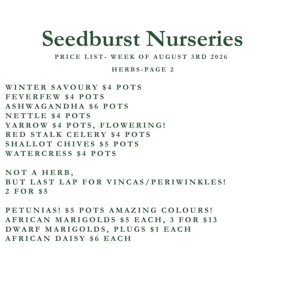 Seedburst Nurseries Weekly Price List & Specials – Week of Aug 3, 2026
