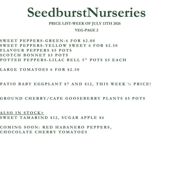Seedburst Nurseries Weekly Stock List – Herbs, Veg, Potting Mix & More