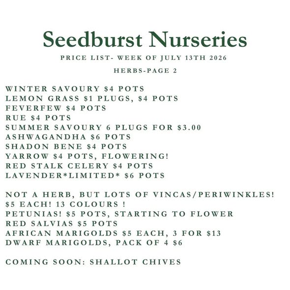 Seedburst Nurseries Weekly Stock List – Herbs, Veg, Potting Mix & More
