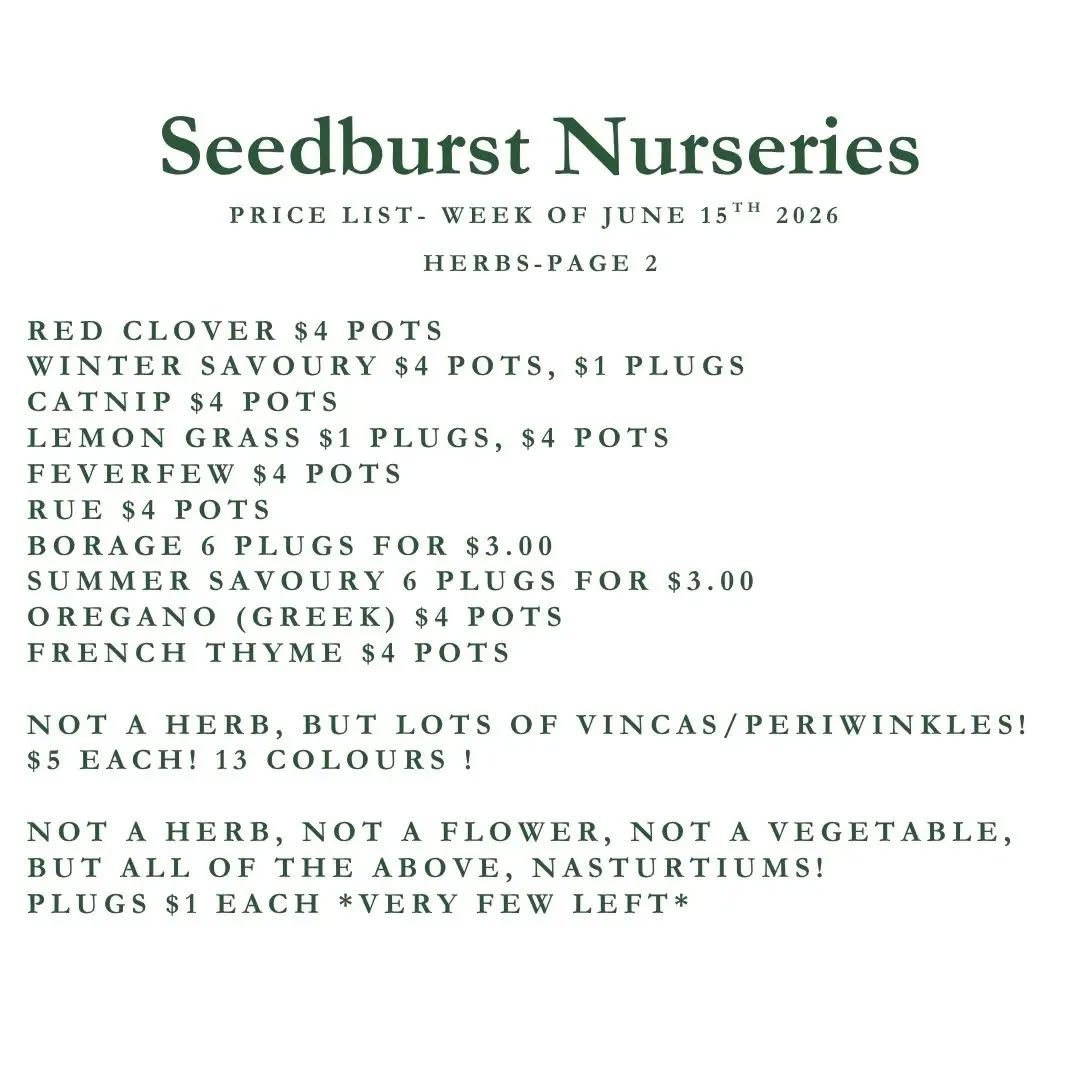 Seedburst Nurseries Weekly Price List – Herbs, Veggie Seedlings & Garden Supplies (Week of June 15, 2026)