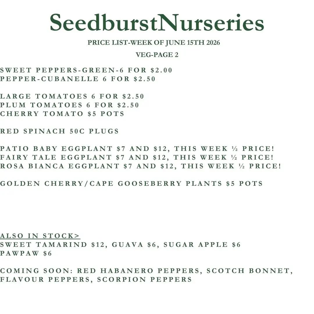 Seedburst Nurseries Weekly Price List – Herbs, Veggie Seedlings & Garden Supplies (Week of June 15, 2026)
