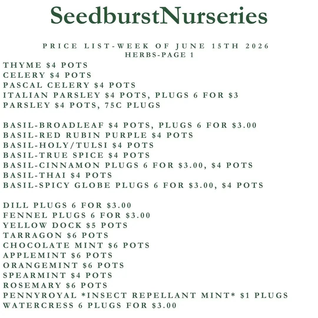 Seedburst Nurseries Weekly Price List – Herbs, Veggie Seedlings & Garden Supplies (Week of June 15, 2026)