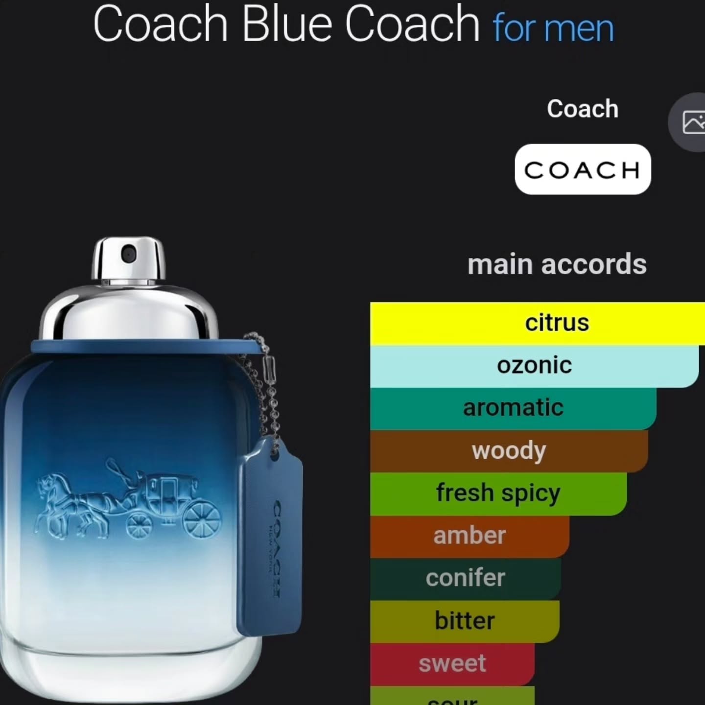 Coach Blue Eau de Toilette 100ml – $220 at ScentedBim