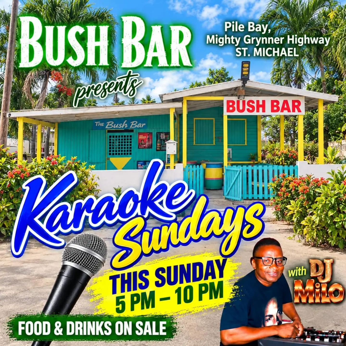 Karaoke Sundays at Bush Bar with DJ Milo